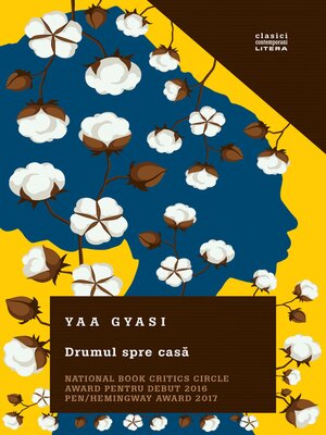 cover image of Drumul spre casă